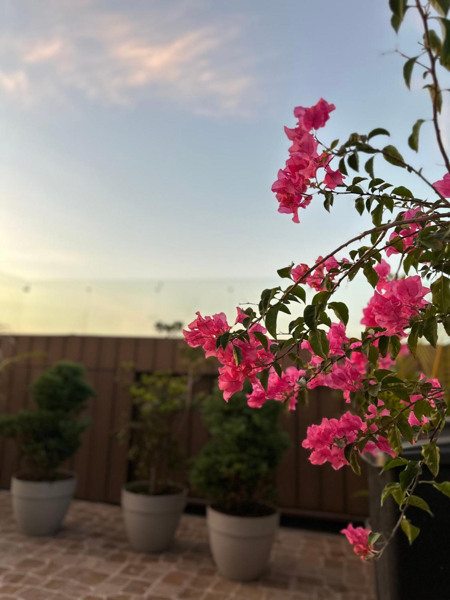 Sky Garden Hotell Guatemala City Eksteriør bilde